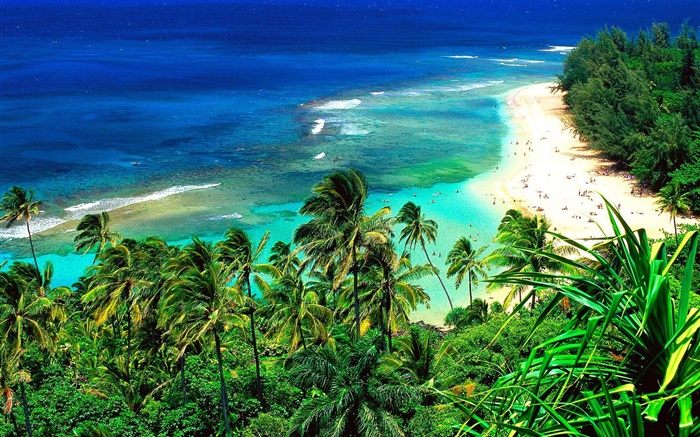 ビーチ、人々、旅行、青い海、ハワイ、アメリカ 壁紙 ピクチャー