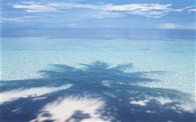 ビーチ、海、ヤシの木の影、モルディブ