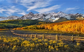 美しい秋の風景、山、森、フェンス HDの壁紙