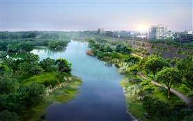 美しい都市公園、3Dデザイン、川、木、道路、住宅 HDの壁紙
