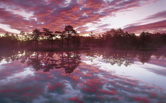 美しい夕暮れ、木、湖、水の反射、赤、雲 壁紙 ピクチャー