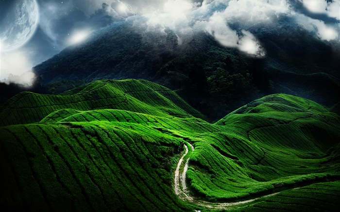 美しい風景、緑の丘、道路、雲 壁紙 ピクチャー
