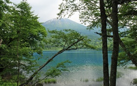 美しい自然、湖、木、山、北海道、日本