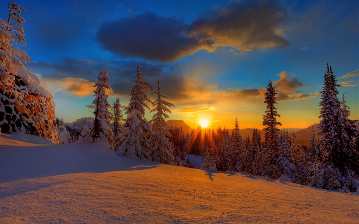 美しい夕日、冬、雪、木、夕暮れ 壁紙 ピクチャー