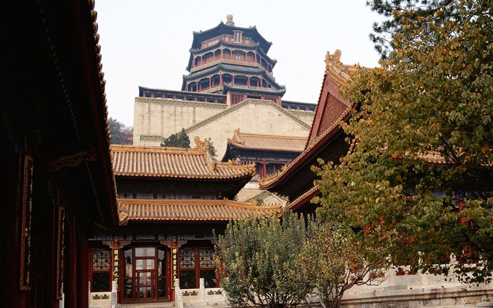 北京紫禁城、中国 壁紙 ピクチャー