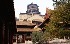 北京紫禁城、中国