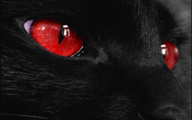 ブラック、動物の顔、赤い目 HDの壁紙