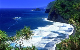 青い海、海岸、山、ハワイ、アメリカ