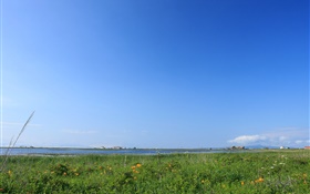 青い空、草、海岸、北海道、日本