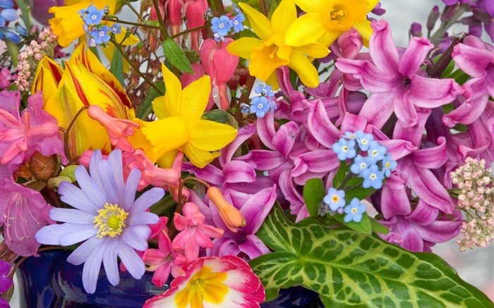 花束、花、多くの種類、色鮮やかな 壁紙 ピクチャー