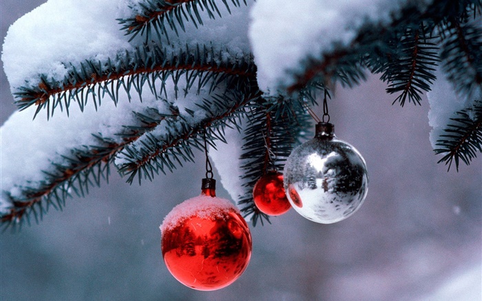 クリスマスボール、木、小枝、厚い雪 壁紙 ピクチャー