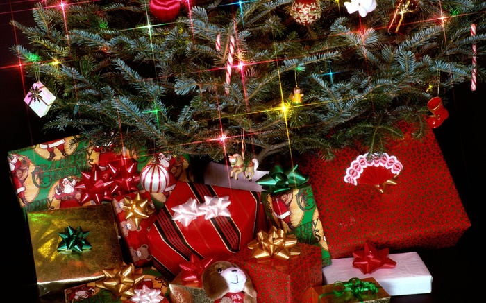 クリスマスプレゼント、ライト、松の小枝 壁紙 ピクチャー