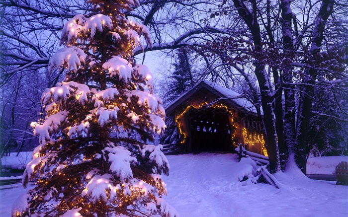 クリスマスツリー、雪、家、木 壁紙 ピクチャー
