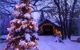 クリスマスツリー、雪、家、木 HDの壁紙