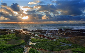 海岸、石、夕日、雲、太平洋 HDの壁紙