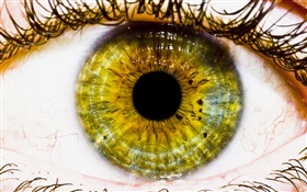 クリエイティブ絵、黄色の目、瞳孔 HDの壁紙