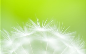 タンポポの花クローズアップ、緑の背景 HDの壁紙