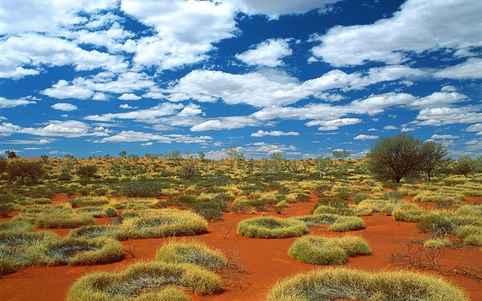 砂漠、草、雲、オーストラリア 壁紙 ピクチャー