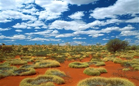 砂漠、草、雲、オーストラリア