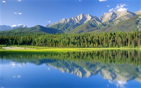 犬湖、山、森、クートニー国立公園、ブリティッシュコロンビア州、カナダ HDの壁紙