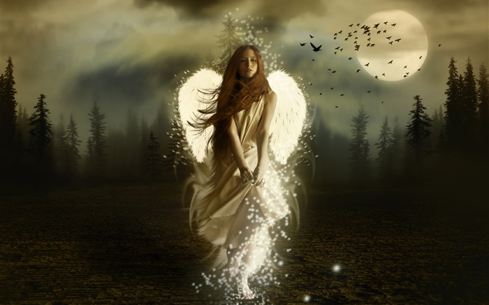 ファンタジー天使の女の子、白い翼、夜、月、鳥 壁紙 ピクチャー