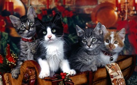 フォー子猫、クリスマス HDの壁紙