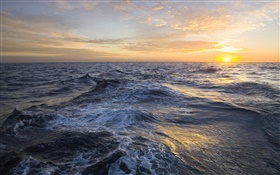 ゴールデン日の出、雲、海、大西洋、フォークランド諸島 HDの壁紙
