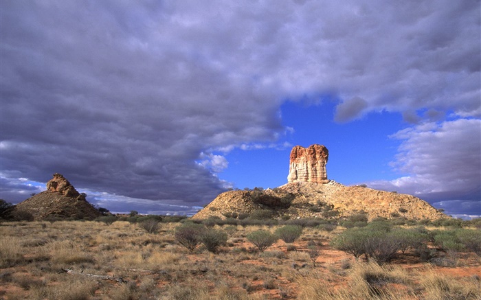 芝生 植物 砂漠 雲 オーストラリア Hdの壁紙 風景 壁紙プレビュー Ja Hdwall365 Com