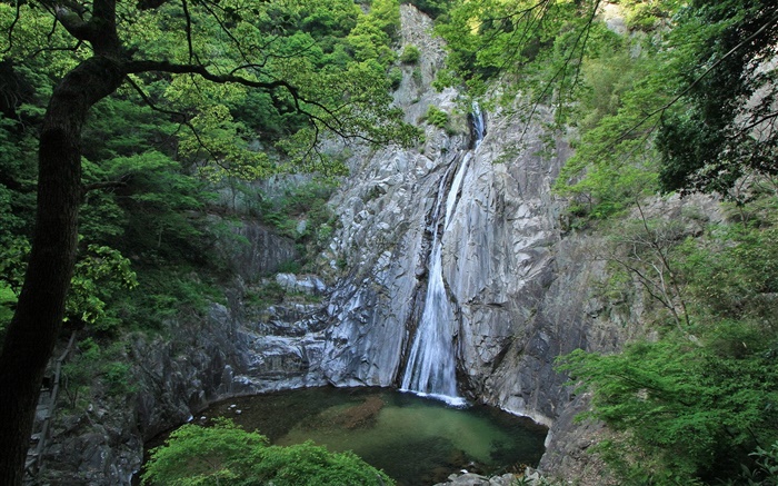 大自然、滝、崖、湖、木、北海道、日本 壁紙 ピクチャー