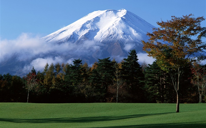 日本の富士山、雪、木、草、霧 壁紙 ピクチャー