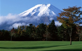 日本の富士山、雪、木、草、霧