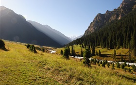 キルギスタン、森、木、山、朝、草、川