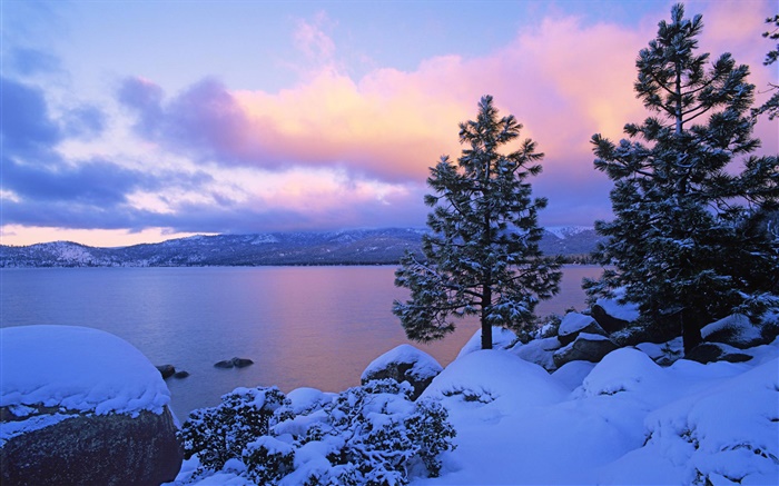 タホ湖、冬、雪、木、夕暮れ、USA 壁紙 ピクチャー