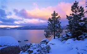 タホ湖、冬、雪、木、夕暮れ、USA
