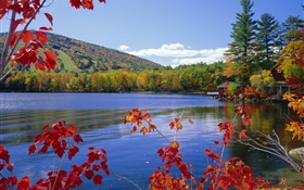 湖、木、家、秋