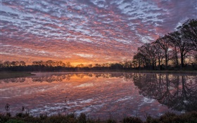 アメリカルイジアナ州、川、海岸、水の反射、木、雲、夕日 HDの壁紙