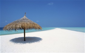 モルディブ、ビーチ、海、日よけ HDの壁紙