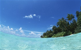 モルディブ、青い海、水、島 HDの壁紙