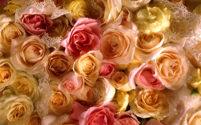 多くは花をバラ、黄色とピンク 壁紙 ピクチャー