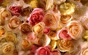 多くは花をバラ、黄色とピンク HDの壁紙