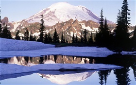 マウントレーニア、Tipsoo湖、山、木、雪、ワシントン州、アメリカ HDの壁紙