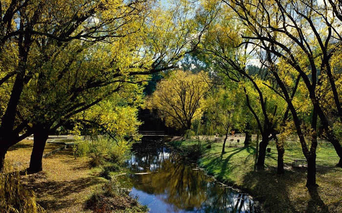 公園、川、木、オーストラリア 壁紙 ピクチャー