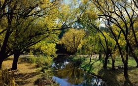 公園、川、木、オーストラリア HDの壁紙
