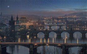 プラハ、チェコ共和国、橋、川、家、夜、ライト