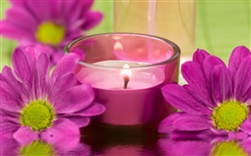 紫色の菊の花、キャンドル、火、SPAのテーマ HDの壁紙