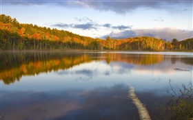 静かな湖、木、霧、朝、秋 HDの壁紙