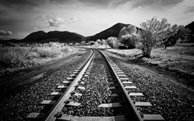 鉄道、木、山、黒、白スタイル HDの壁紙