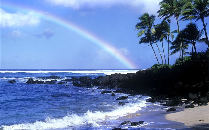 レインボー、青い海、海岸、ヤシの木、ハワイ、アメリカ 壁紙 ピクチャー