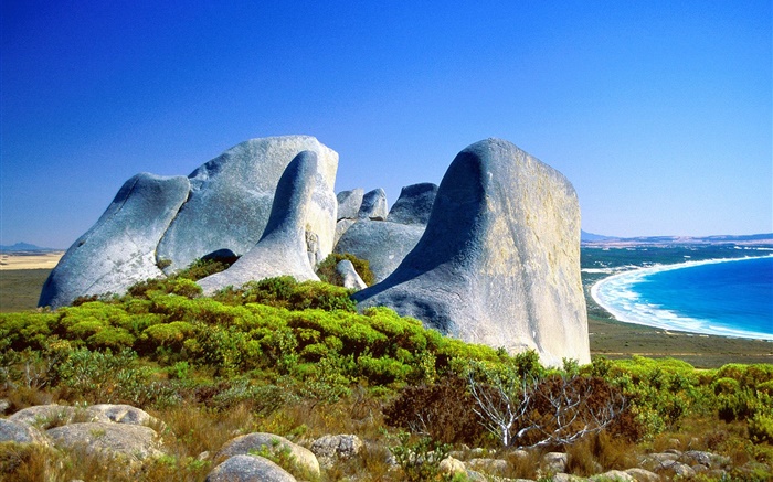 岩、草、海岸、青い海、オーストラリア 壁紙 ピクチャー