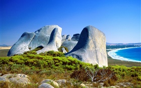 岩、草、海岸、青い海、オーストラリア HDの壁紙